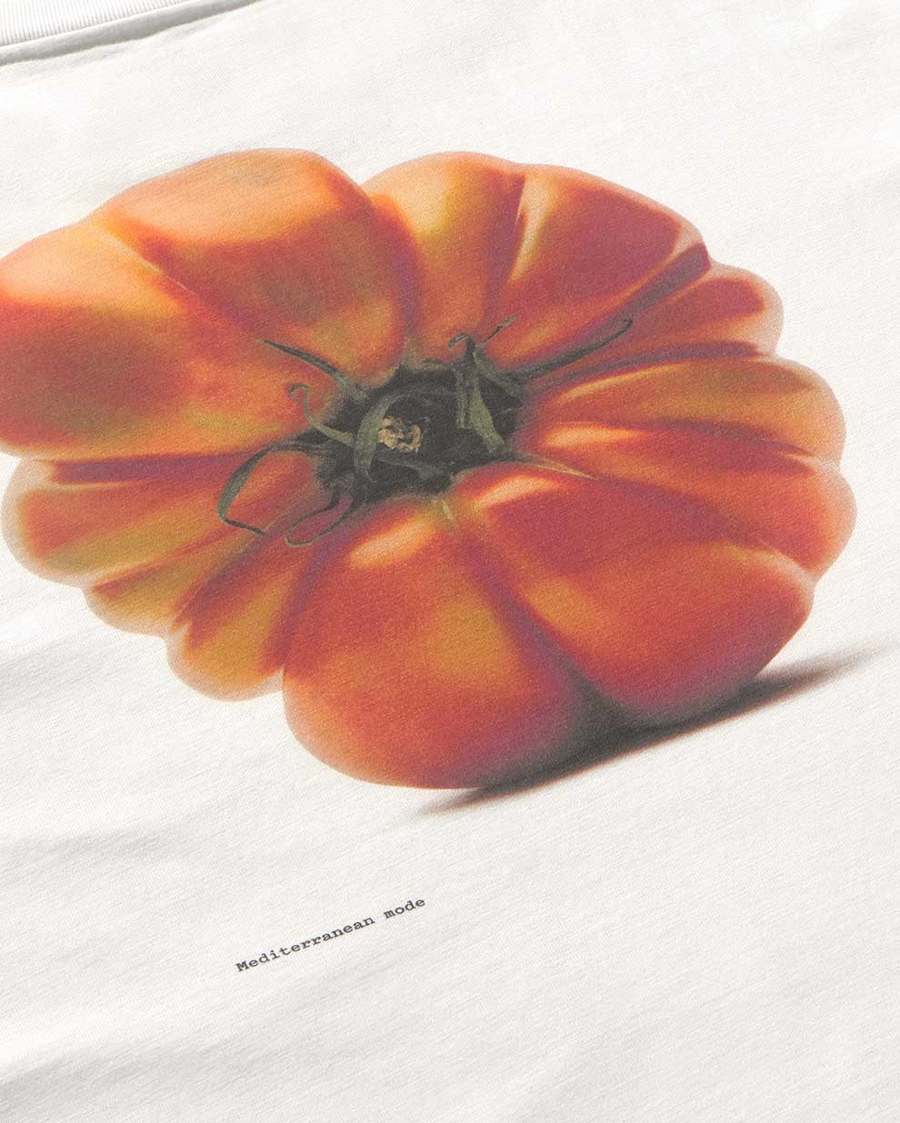 4808197
